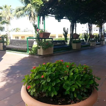 Apartment In Santa Cruz De Tenerife With Pool Acantilado de los Gigantes