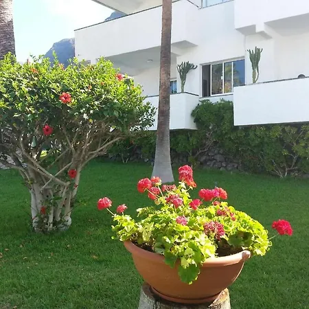 Apartment In Santa Cruz De Tenerife With Pool *